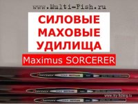 Маховые Максимус Сорцерер 40кб.jpg