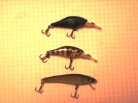 DSC00529.JPG