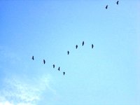 DSC00630.JPG