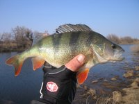 IMG_1201.jpg