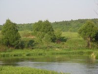 IMG_2839.jpg