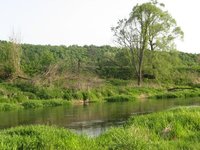 IMG_2840.jpg