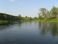 IMG_2841.jpg