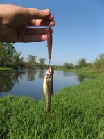 IMG_2819.jpg