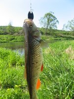 IMG_2821.jpg