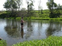 IMG_2823.jpg