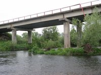 IMG_2845.jpg