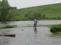 IMG_2849.jpg