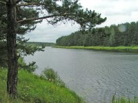 m1.jpg