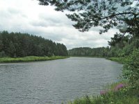 m2.jpg