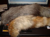 DSC03193 [640x480].JPG