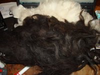 DSC03196 [640x480].JPG