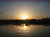 IMG_2337..jpg