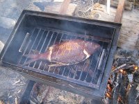 IMG_09841.jpg