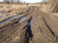 дорога в лугах.jpg