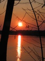 IMG_0152.jpg
