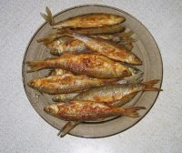 IMG_2387.jpg