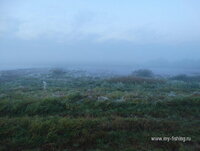 DSC04981_resize.JPG