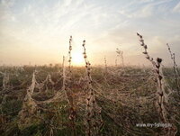 DSC04991_resize.JPG