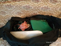 IMG_20201007_135844.jpg