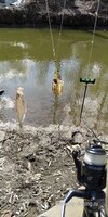 IMG_20210410_115907.jpg