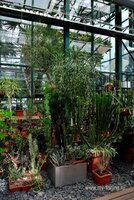 DSC_4989.jpg