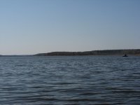 IMG_7272.jpg