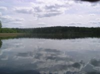 IMGP6512.JPG