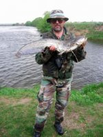 бобу-сомЪ 1.jpg