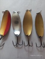 20220623_091815.jpg