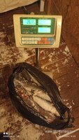 IMG-20221119-WA0014.jpg
