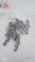 IMG-20230224-WA0032.jpg