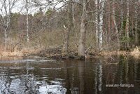 DSC_1890.JPG