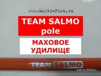 Удилище маховое Team Salmo POLE 7м 40кб.jpg