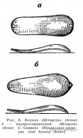 cmi_bff5532a.jpg