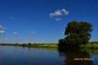 DSC_2110.JPG