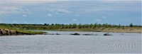 IMG_7631 - 1.jpg