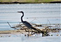 IMG_7634 - 1.jpg