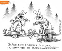 karikatura-vovka-morkovka_(sergey-korsun)_2220.jpg