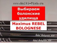 Болонска Максимус Ребел 40кб.jpg