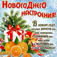 Изображение WhatsApp 2023-12-31 в 12.00.21_d7abb601.jpg