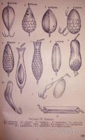 cmi_578b38b8.jpg