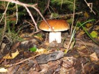 IMG_1611.jpg