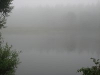 Туман 1.jpg