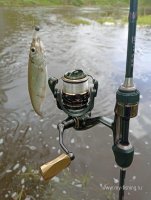 IMG_20240509_111834.jpg
