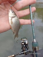 IMG_20240514_183315.jpg