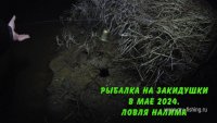 Рыбалка-на-закидушки-в-мае-2024.-Ловля-налима.jpg