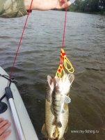 IMG_20240706_073843.jpg