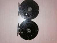 IMG_20240802_200258.jpg