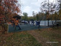 IMG_20241005_141922.jpg